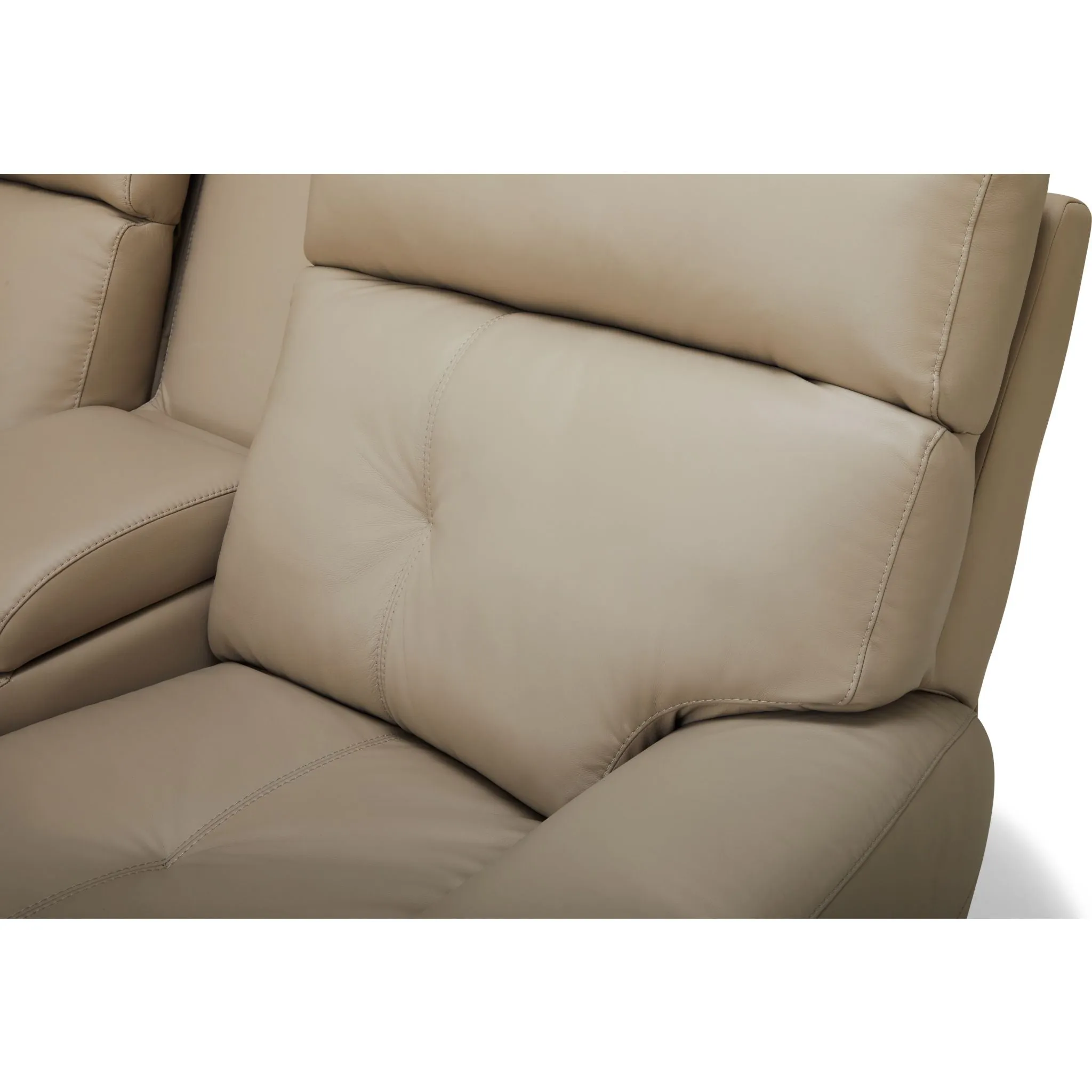 Aedon Power Reclining Loveseat with Headrest and Lumbar - Bali Harvest