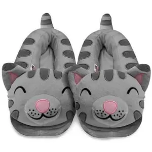 Big Bang Theory Soft Kitty Slippers