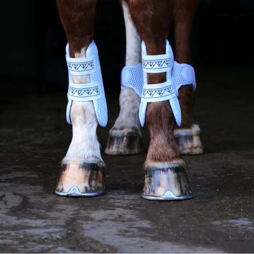 Equilibrium Fetlock Boots