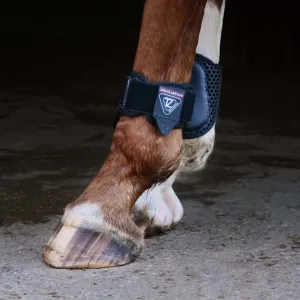 Equilibrium Fetlock Boots