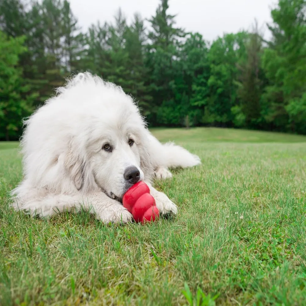 KONG Classic Dog Toy Red XL